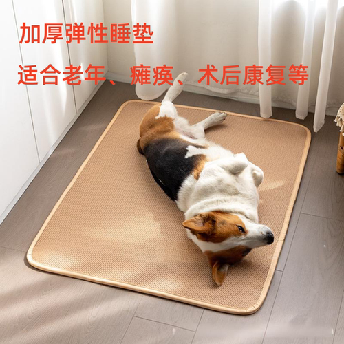 加厚狗睡垫透气透水防潮弹性防褥疮术后恢复后腿瘫痪可洗夏天凉席