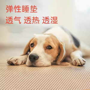 加厚狗睡垫透气透水防潮弹性防褥疮术后恢复后腿瘫痪可洗夏天凉席