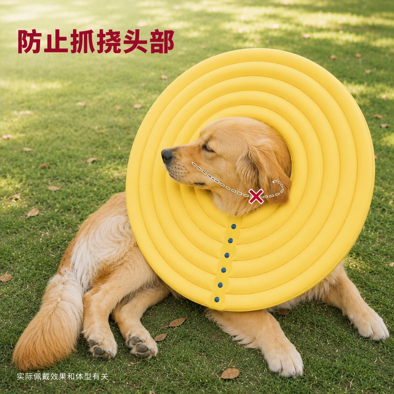 金毛轻软伊丽莎白圈加大加长脖圈防舔腿咬皮肤绝育耳朵下巴腹部