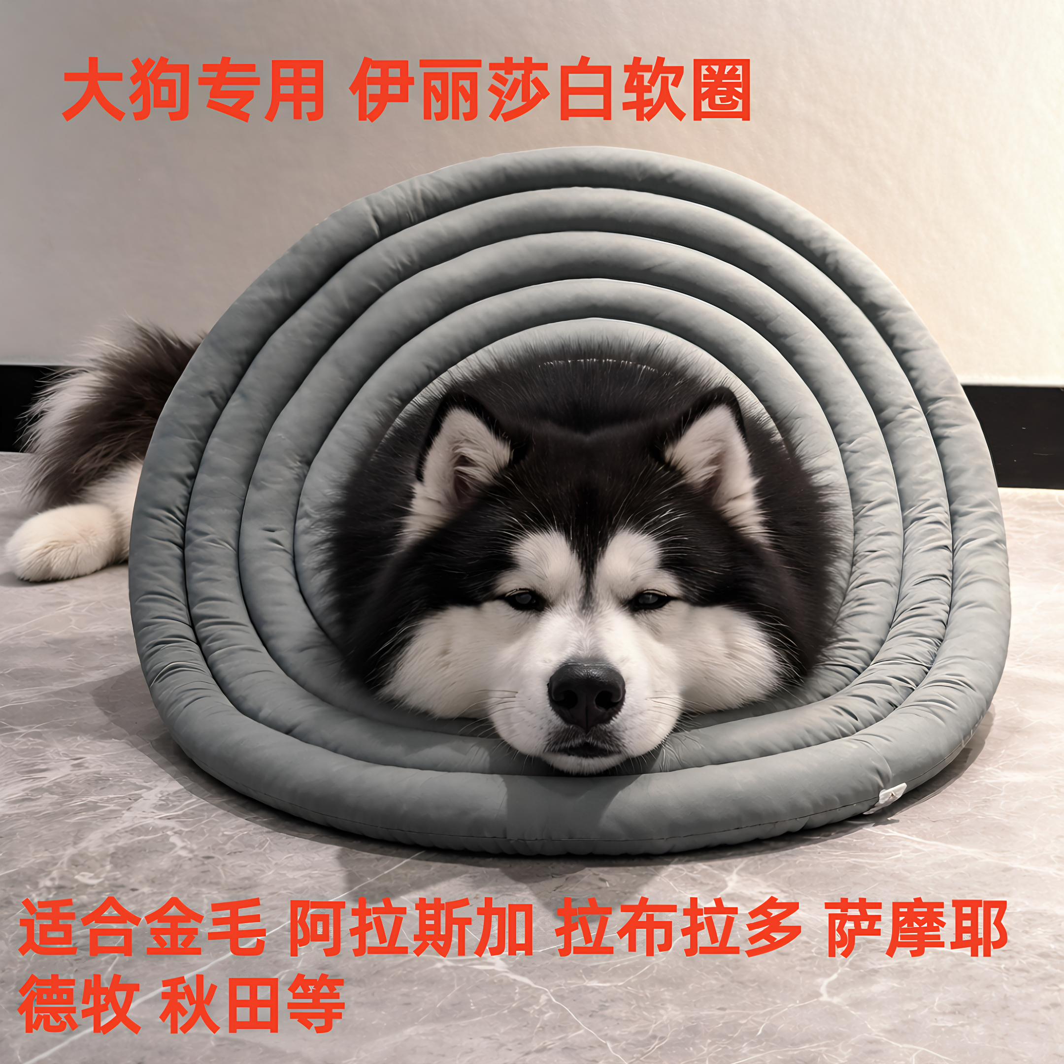 加深加大伊丽莎白圈防抓舔哈士奇金毛拉布拉多阿拉斯加萨摩2603