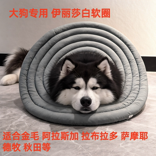 加深加大伊丽莎白圈防抓舔哈士奇金毛拉布拉多阿拉斯加萨摩2603