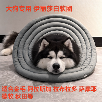 加深加大伊丽莎白圈防抓舔哈士奇金毛拉布拉多阿拉斯加萨摩2603