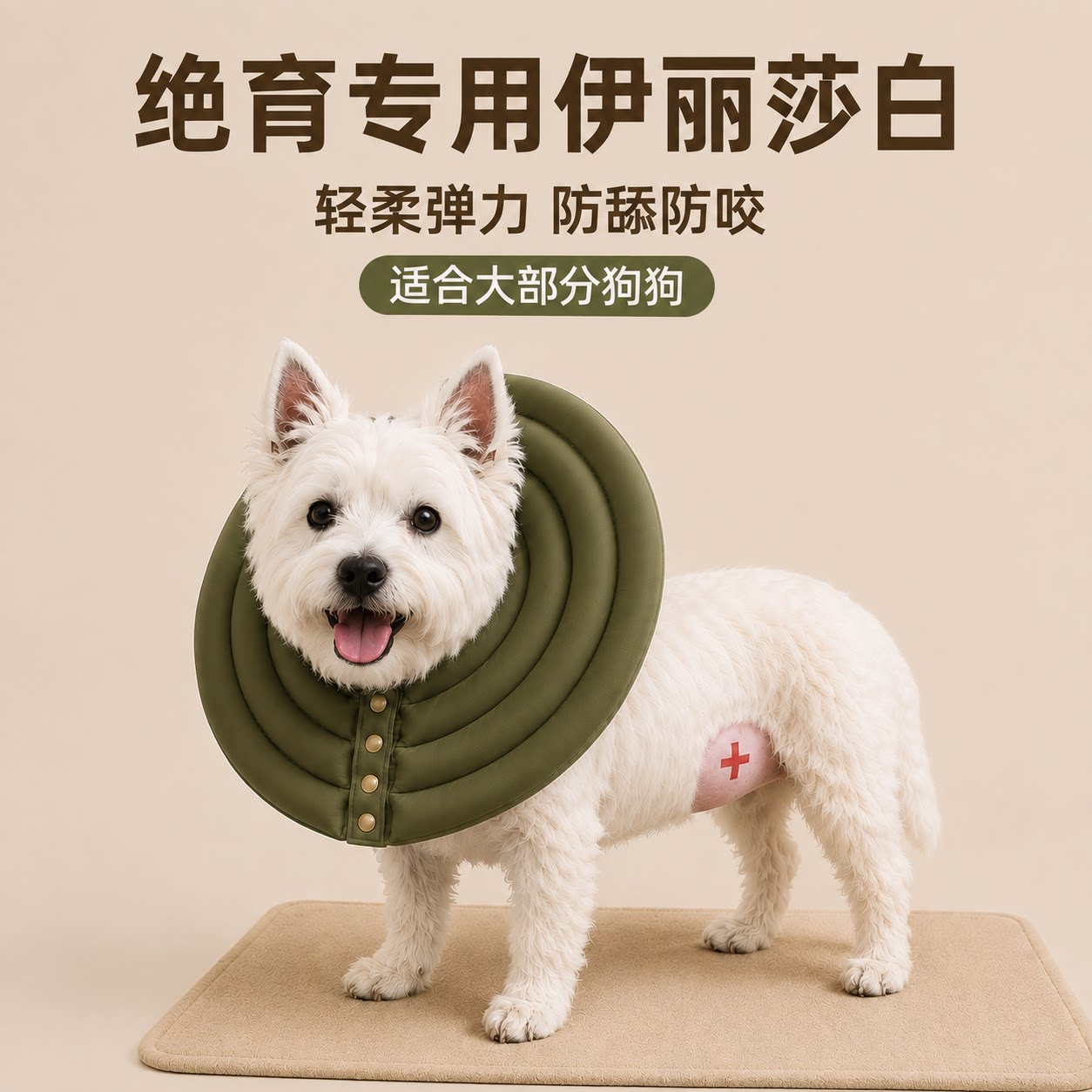 绝育专用狗狗伊丽莎白圈防舔咬西高地比熊边牧金毛拉布拉多0729