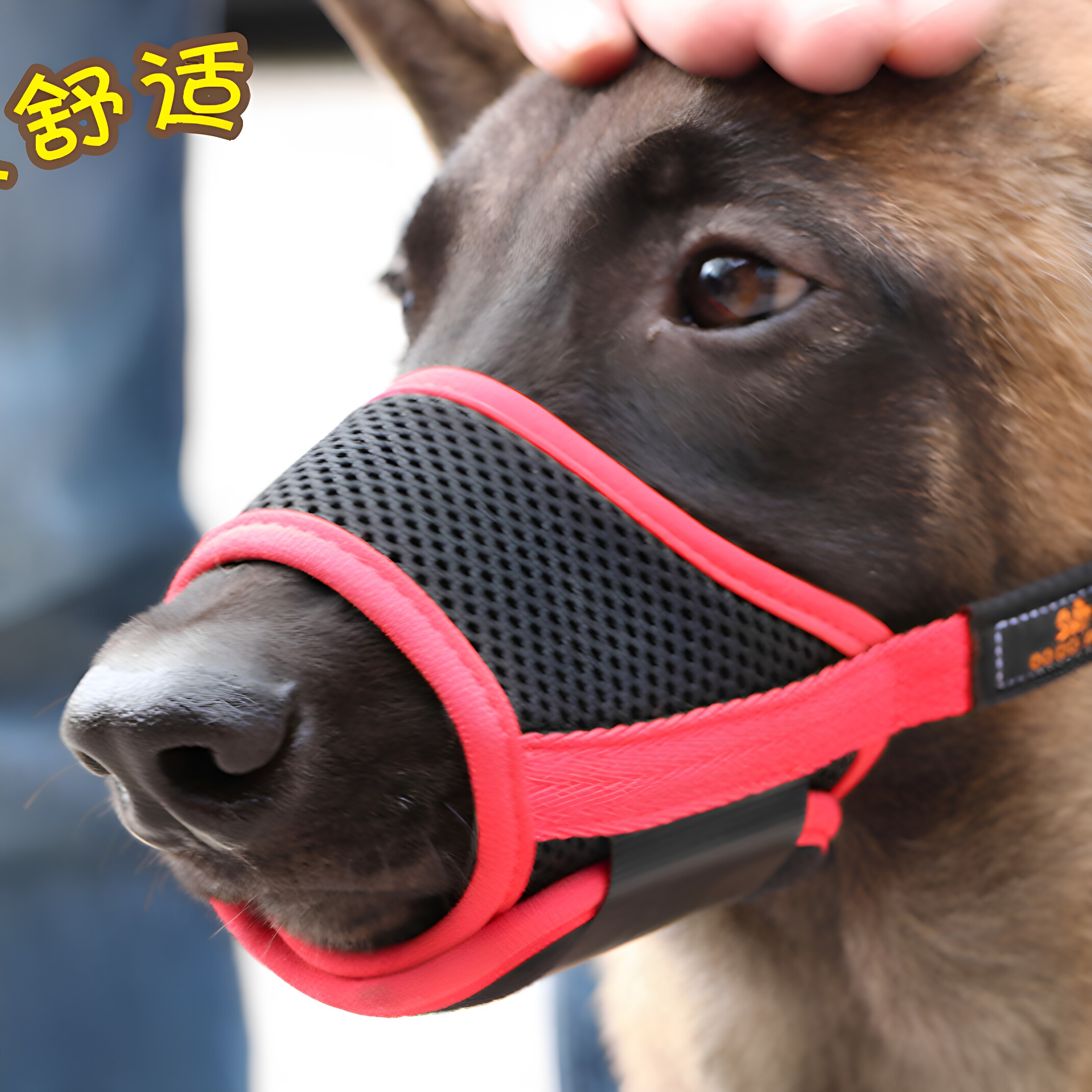 狗狗嘴罩嘴套不影响喝水可调节