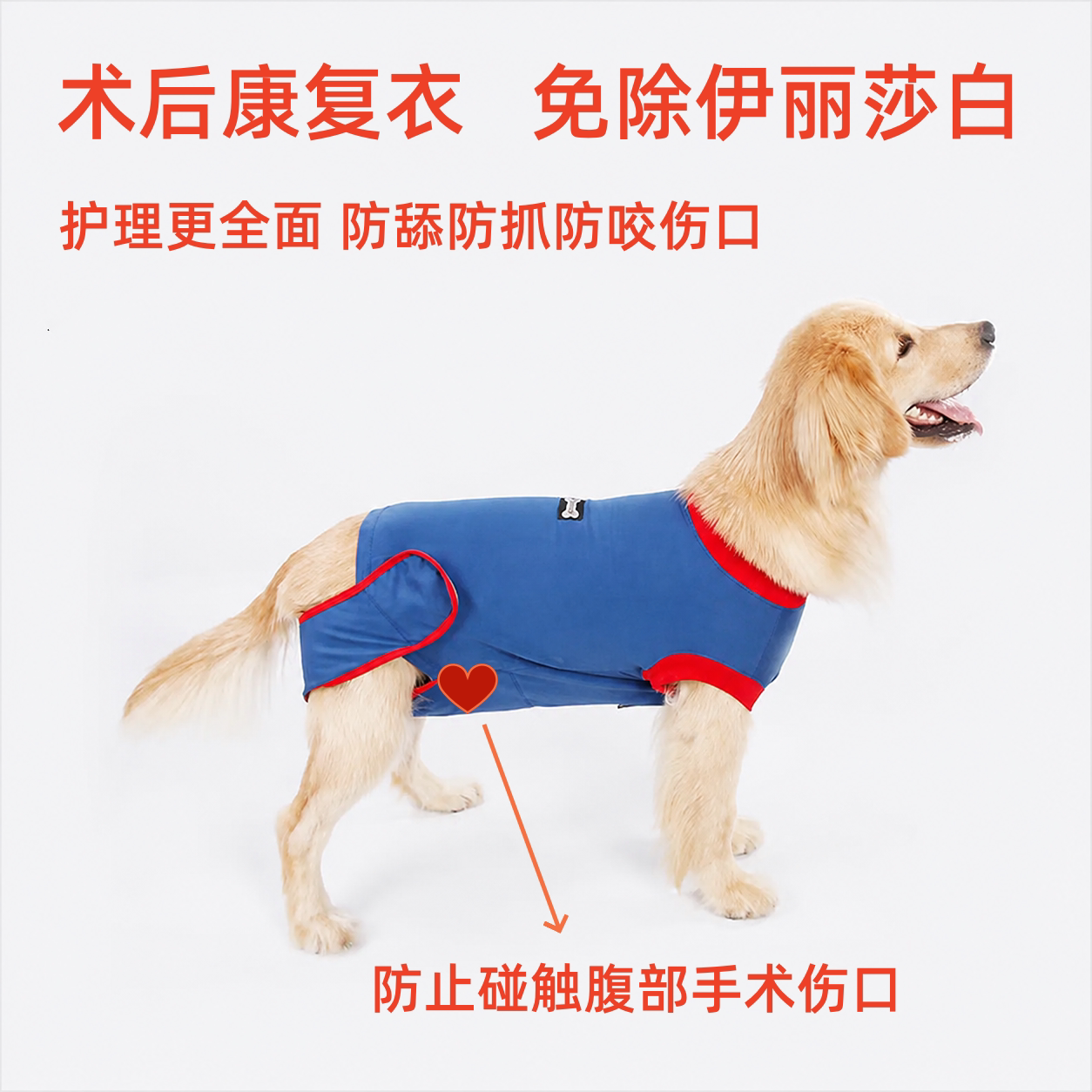 狗狗术后服绝育防舔皮肤病透气