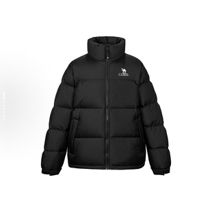 CAMEL骆驼胶囊系列户外防风立领保暖耐磨防泼水羽绒服A13CAPN032F