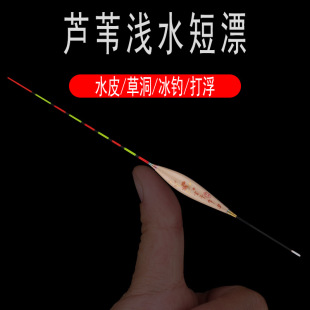 言午浮漂芦苇浅水漂打浮专用短小鱼漂高灵敏冬钓轻口鲫鱼漂水皮漂