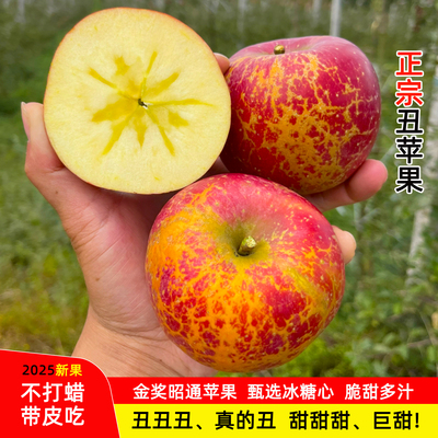正宗云南昭通丑苹果新鲜水果整箱