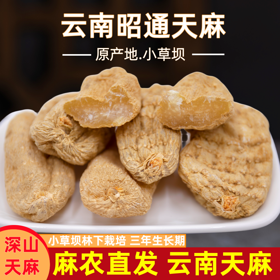 精选云南昭通小草坝深山老天麻野生特级品滋补养生原料天然无污染