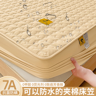 四季通用单件加厚夹棉防水床罩防滑席梦思床垫保护罩床笠2025新款