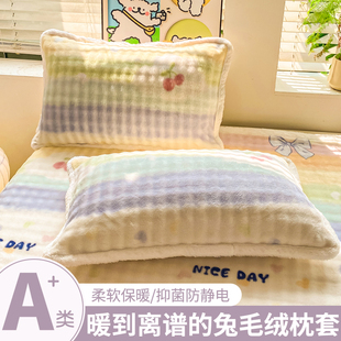 牛奶绒枕头枕套一对装 枕芯内胆套冬48cmX74cm毛绒单个枕头套 新款
