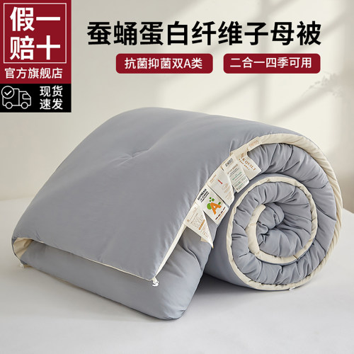 水洗棉蚕蛹蛋白子母二合一冬被