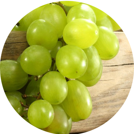 金派系列青提香精 GreenGrape耐高温水溶性多用途香精