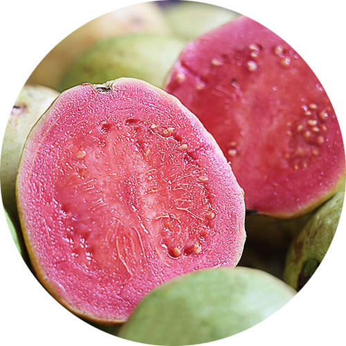 金派系列粉红芭乐香精  Pink Guava 耐高温水溶性多用途香精