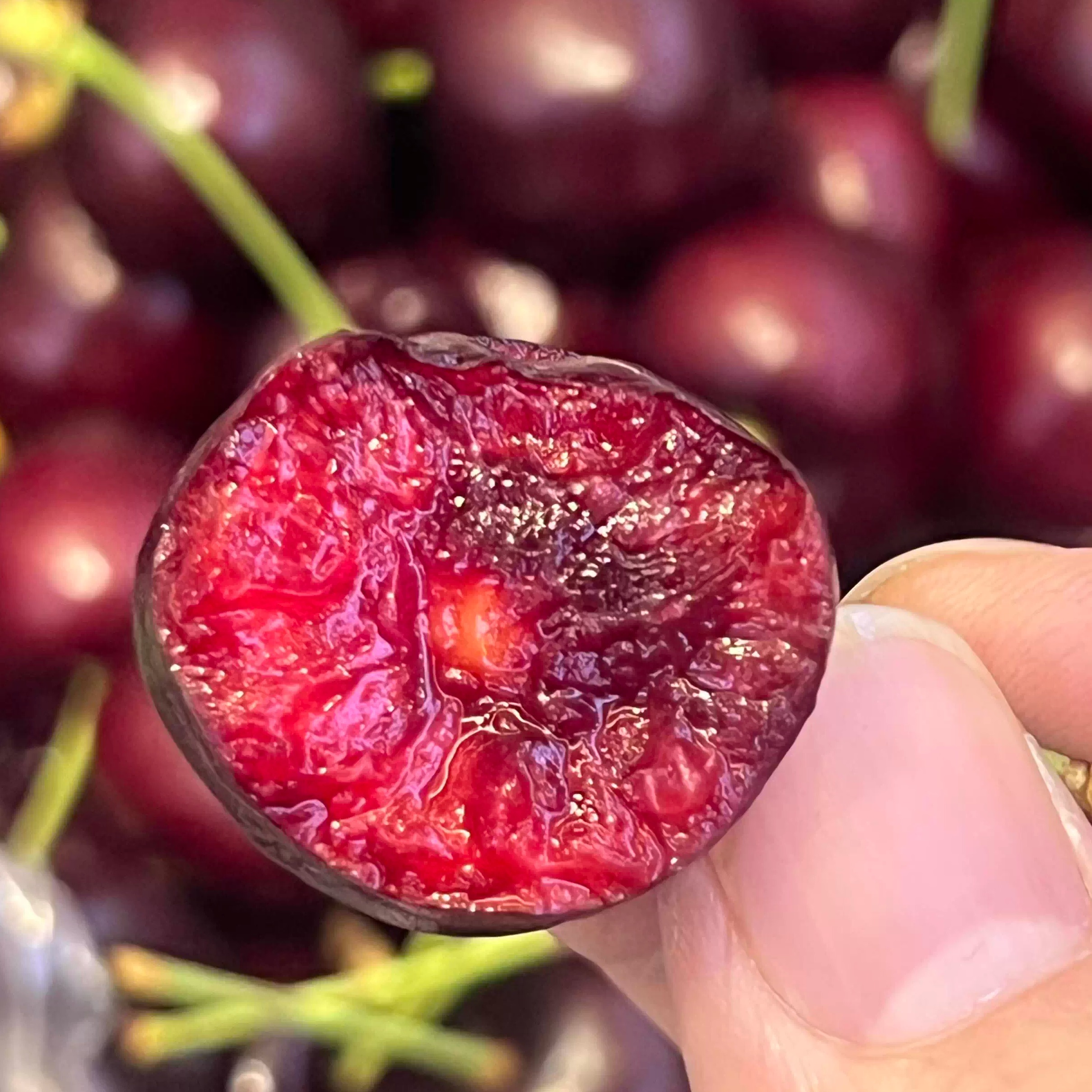 【鲜易达】新鲜水果天津当日达智利进口黑岩车厘子樱桃2JD一斤装