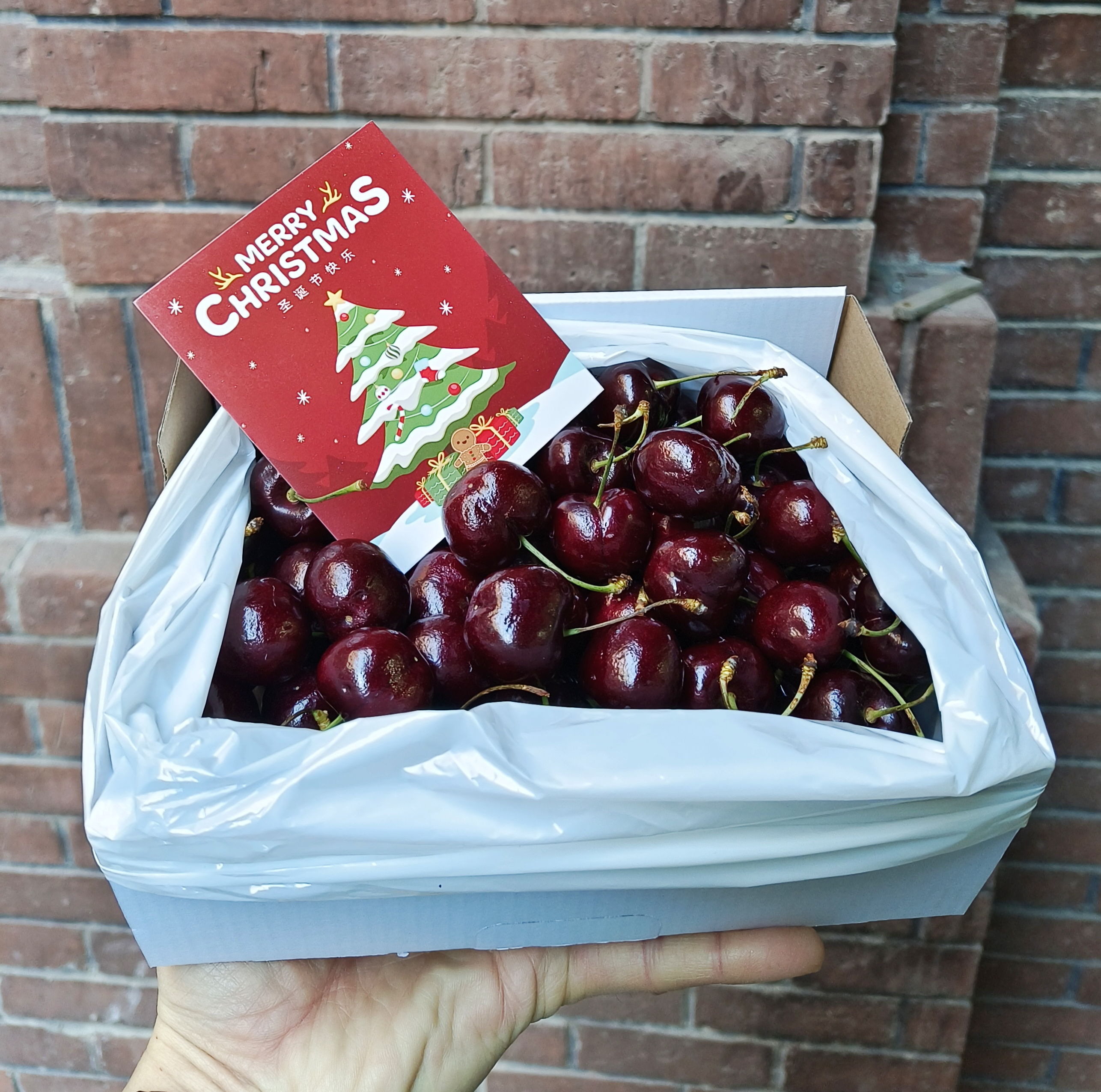 【鲜易达】新鲜水果天津当日达智利进口3J车厘子樱桃礼盒净2斤