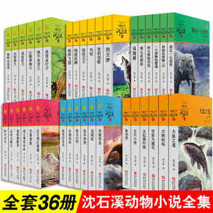 全套36册 狼王梦红飘带狮王一头战象动物小说单本经典 沈石溪 书籍 沈石溪动物小说全集 沈石溪系列儿童文学品藏书系 新华书店