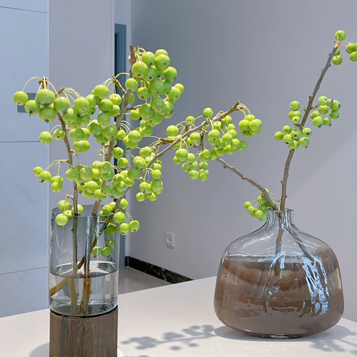 【高品质】野趣十足绿色小苹果插