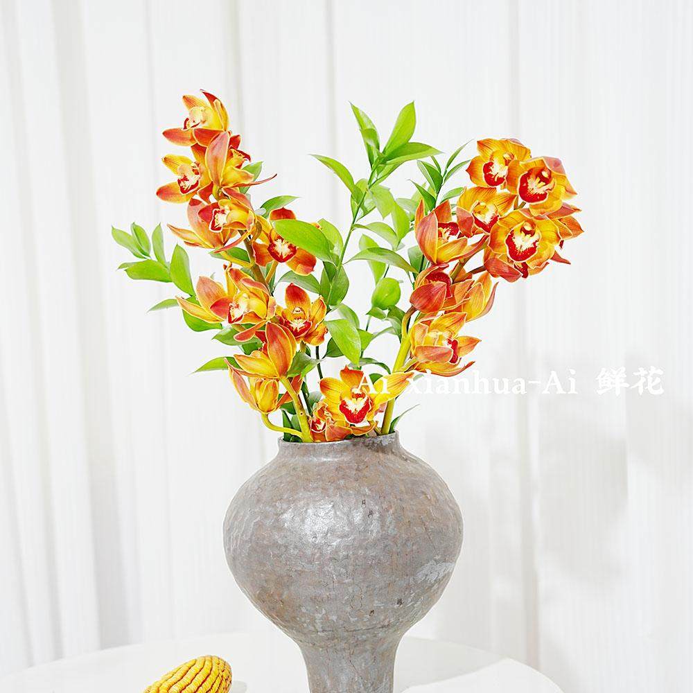 进口稀有花火大花蕙兰鲜花水插花