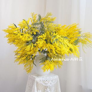 懒人年宵花王者羽叶金合欢鲜花可做干花家居插花水养云南直发送花