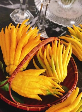 天然植物香料寓意“福寿”黄色佛手柑家居装饰摆件云南空运直发