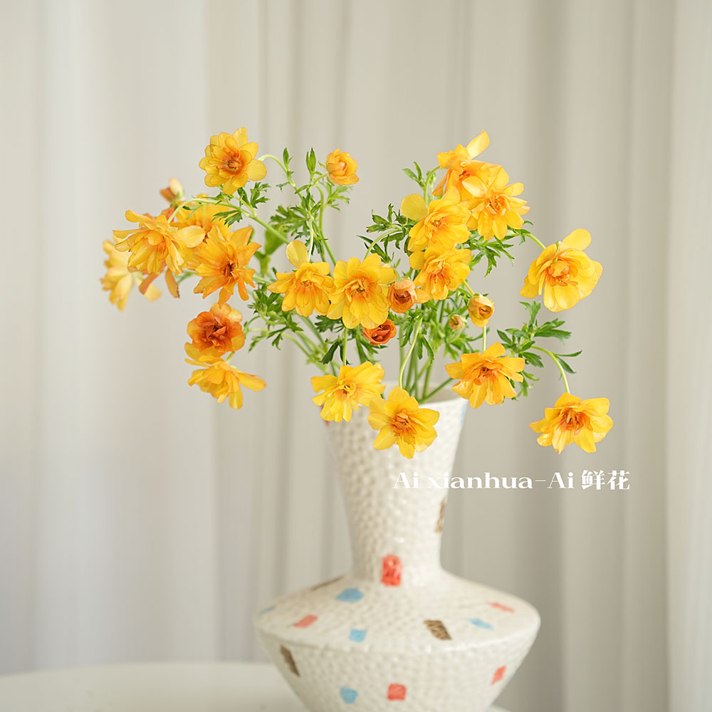 冬季暖心橙色蝴蝶洋牡丹鲜花家居