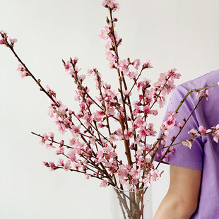 新中式禅意粉色桃花花朵切花家居插花水养节日送花百搭空运送花