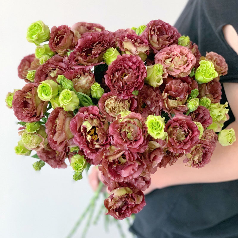 稀有冷调波浪粉色茶色洋桔梗鲜花花束家用水养云南直发复古色百搭