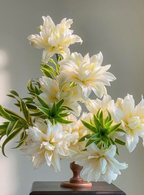 花心自带麻子有香味白色拉菲重瓣百合鲜花家居插花水养节日送花