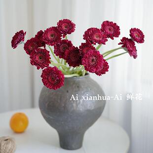 高级复古红色重瓣扶郎花鲜花弗朗家用办公插花水养年宵花跨年礼物