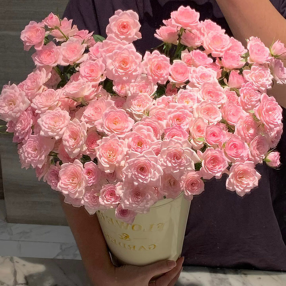 完美甜蜜多头玫瑰鲜花母亲节花束
