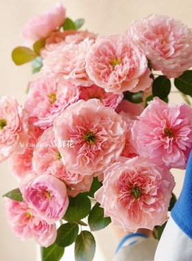 神仙级mikoto玫瑰鲜花超稀有开放后绝绝子云南直发插花节日送花