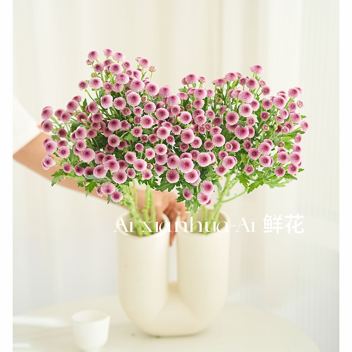 出口小众粉色棉花糖雏菊鲜花送花