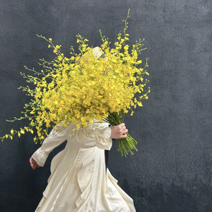 舞动的精灵柠檬色跳舞兰鲜花家居氛围感插花水养花期长空运直发