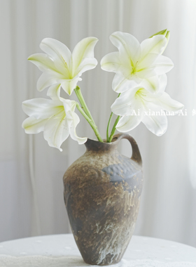 稀有小众品种白色铁炮百合鲜花家居插花水养花期长百搭送花高级