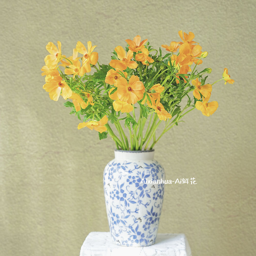 清新油画风珠光爱马仕橙色洋牡丹