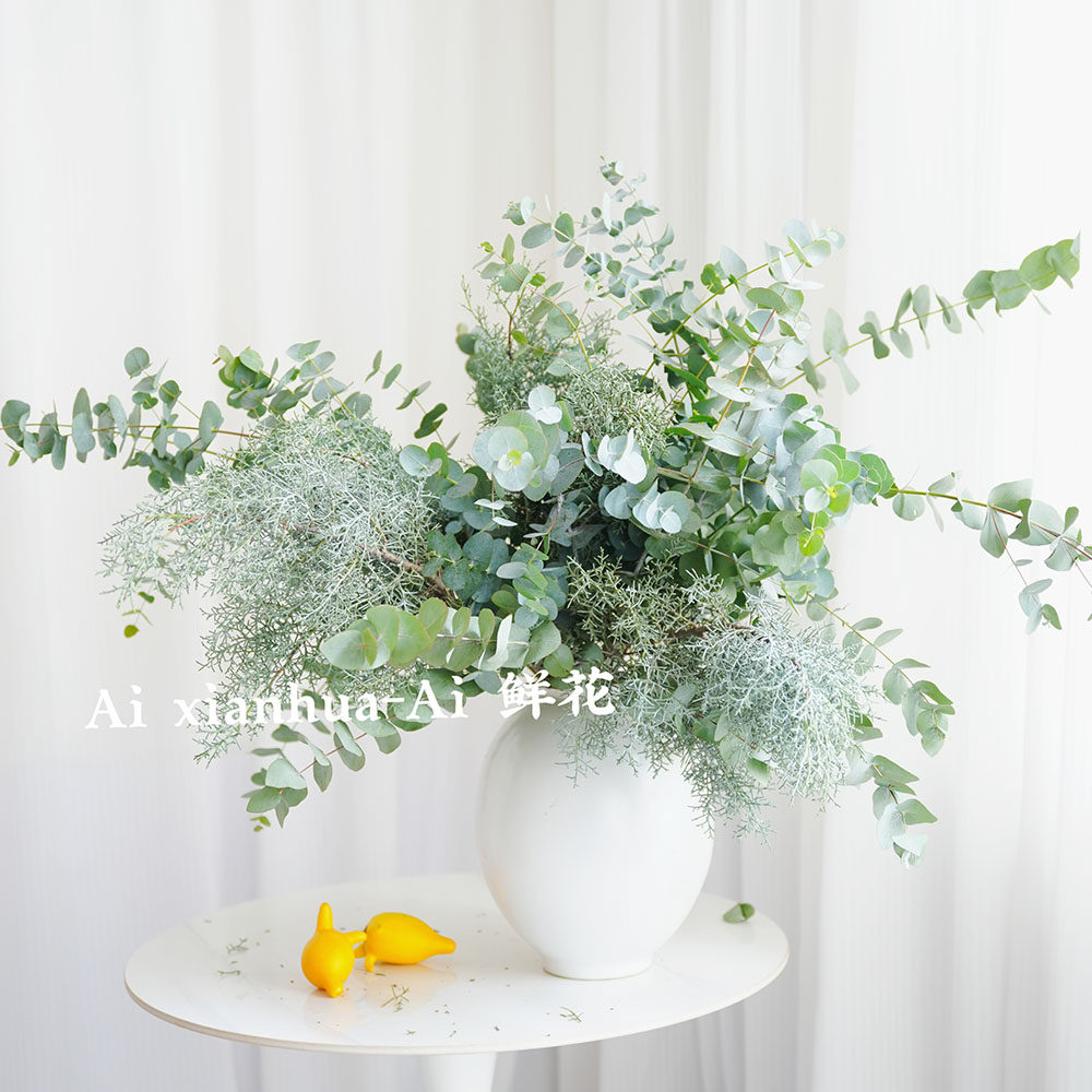 ins风清新系列家居装饰插花尤加利叶大叶雪花松混搭节日送花空运