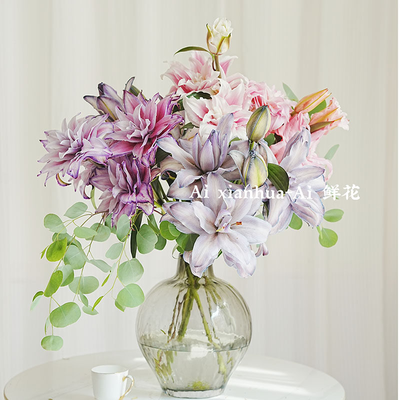 仙气飘飘出水芙蓉重瓣荷花真花