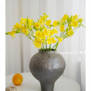 清新小众黄色六出花水仙百合鲜花束花材家居装饰插花水养空运直发