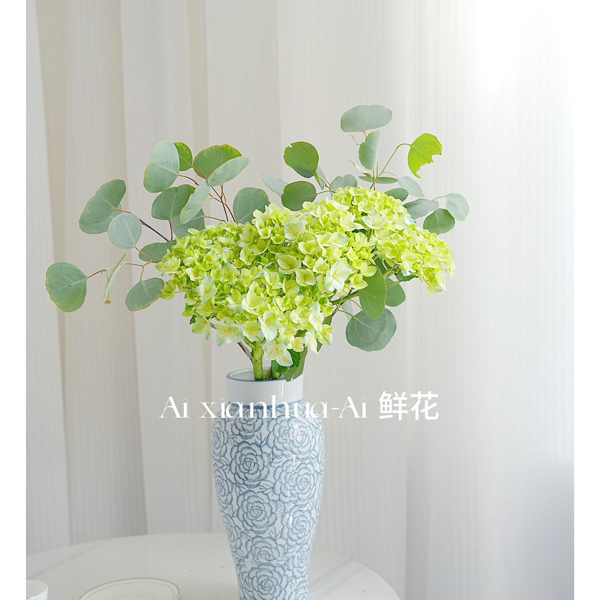 季节限定迷你小绿绣球花鲜花翠绿