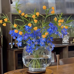稀有小众插花深蓝色小飞燕进口宫灯百合组合插花水养女神节情人节