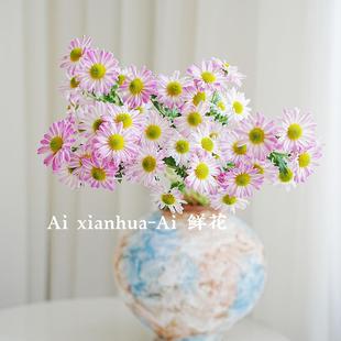 灵动清新斑纹小雏菊鲜花水养家用花艺花期长节日送花搭配插花家庭