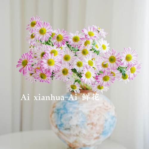 鲜花斑纹小雏菊多头搭配插花