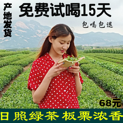 绿茶山东日照绿茶2026新茶叶春茶手工炒青散装板栗浓香型农家500g
