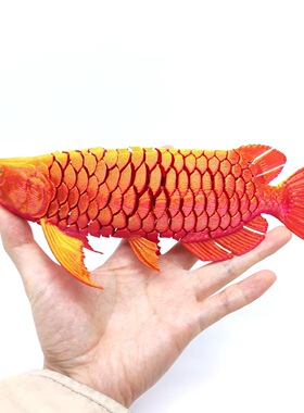 3D打印立体金龙鱼网红摆件礼品