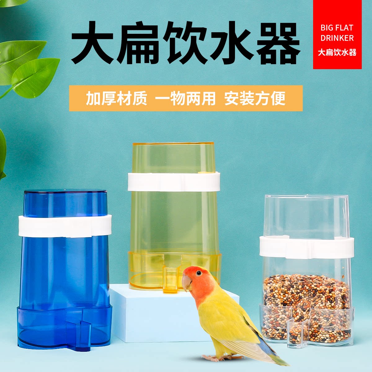 鸟用饮水器自动喂食喂水器鹦鹉图片