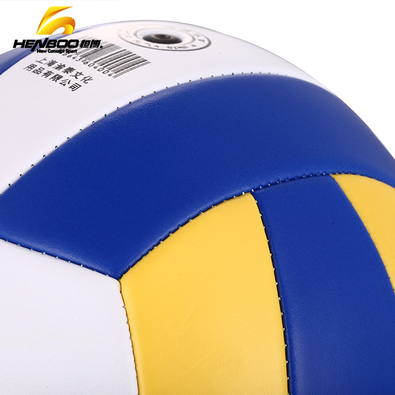 Ballon de volley - Ref 2009589 Image 3