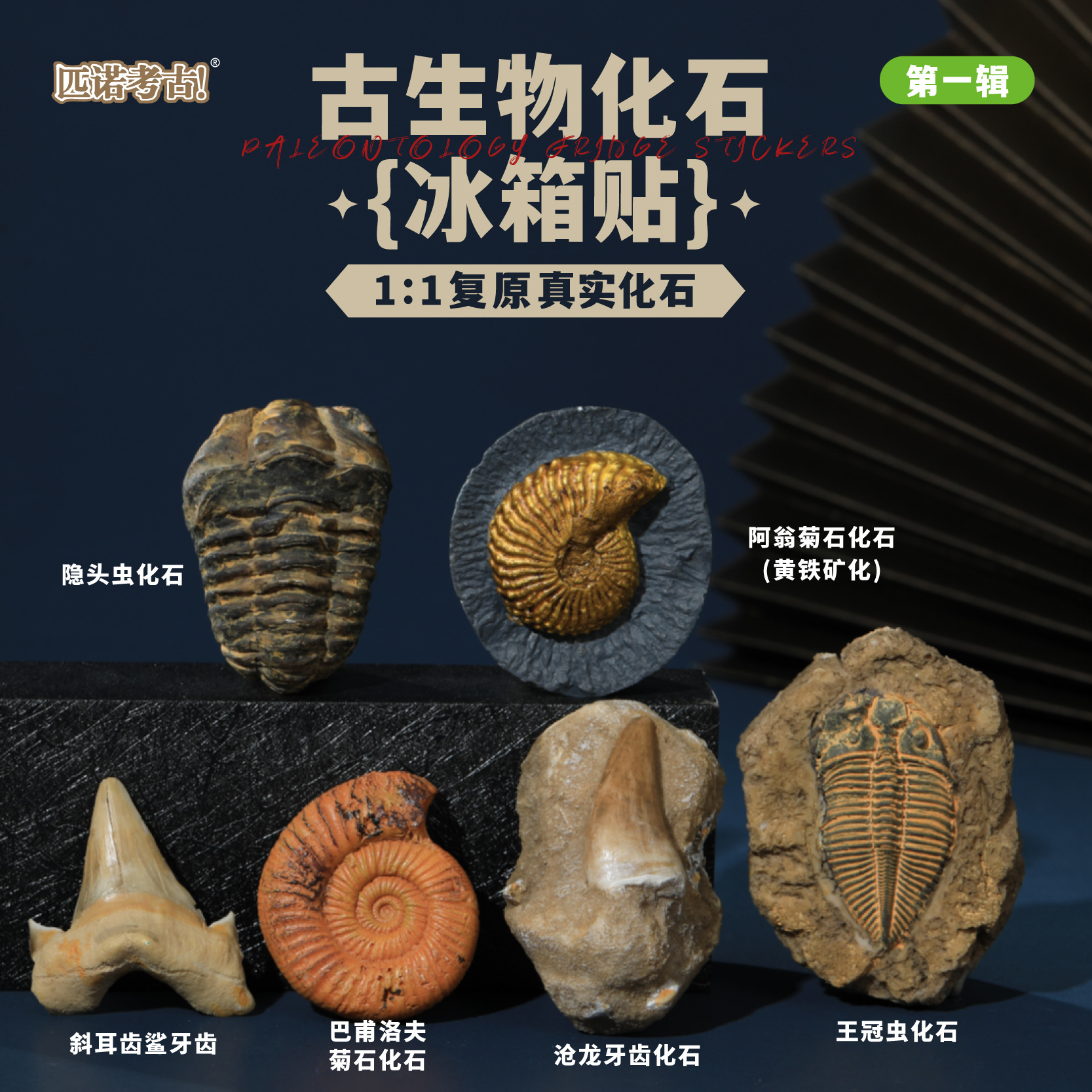 儿童古生物冰箱贴博物馆纪念品