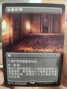 【学府卡牌】万智牌 MTG 亡者旷野 中文 特别来宾 SPG卡洛夫庄园