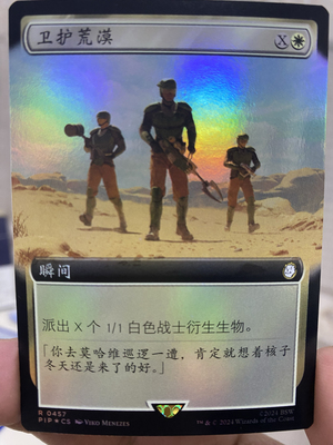 【学府卡牌】万智牌 MTG 卫护荒漠 简中 闪 扩画 PIP 辐射 稀有